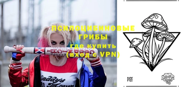 mdpv Дмитров