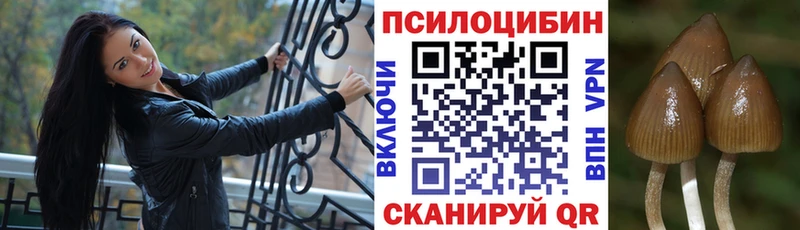 Псилоцибиновые грибы GOLDEN TEACHER  MEGA ссылка  Валдай 